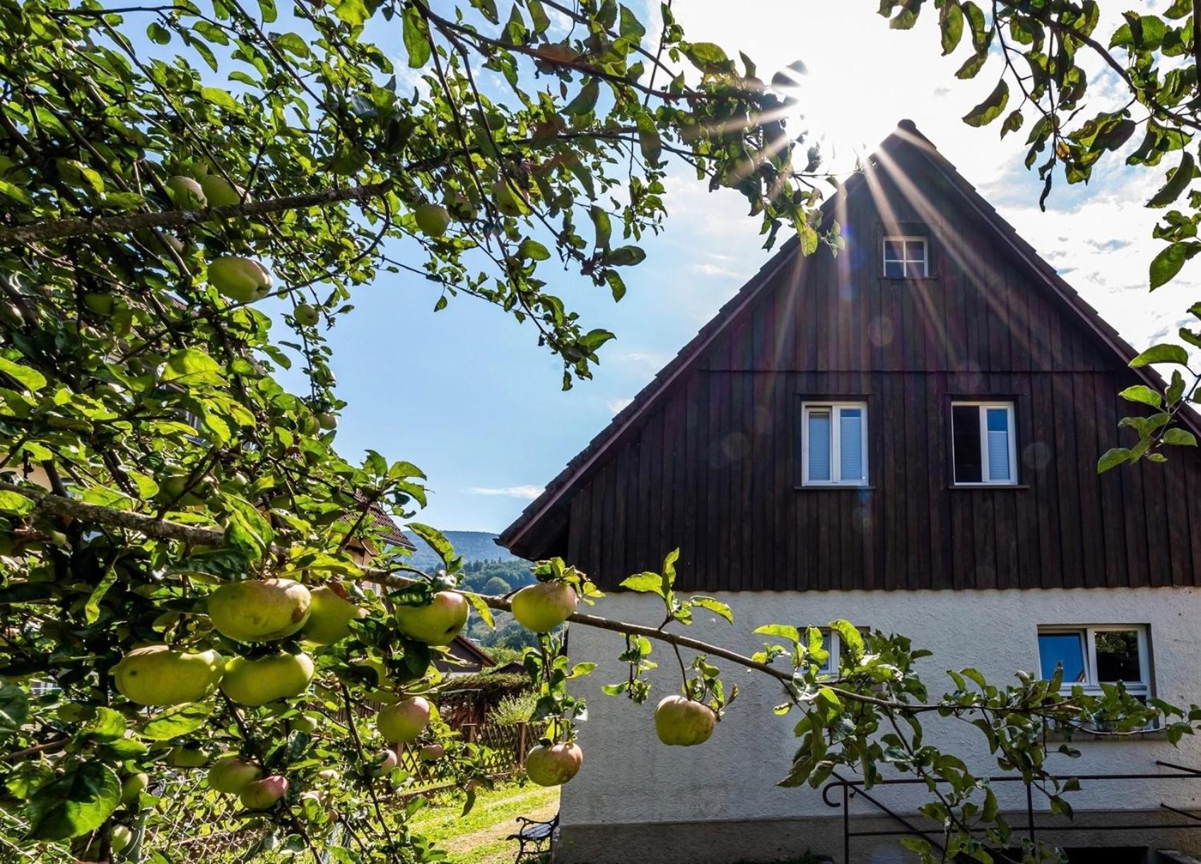 Gartenferienhaus "Annaluise" Schönau im Schwarzwald Екстериор снимка
