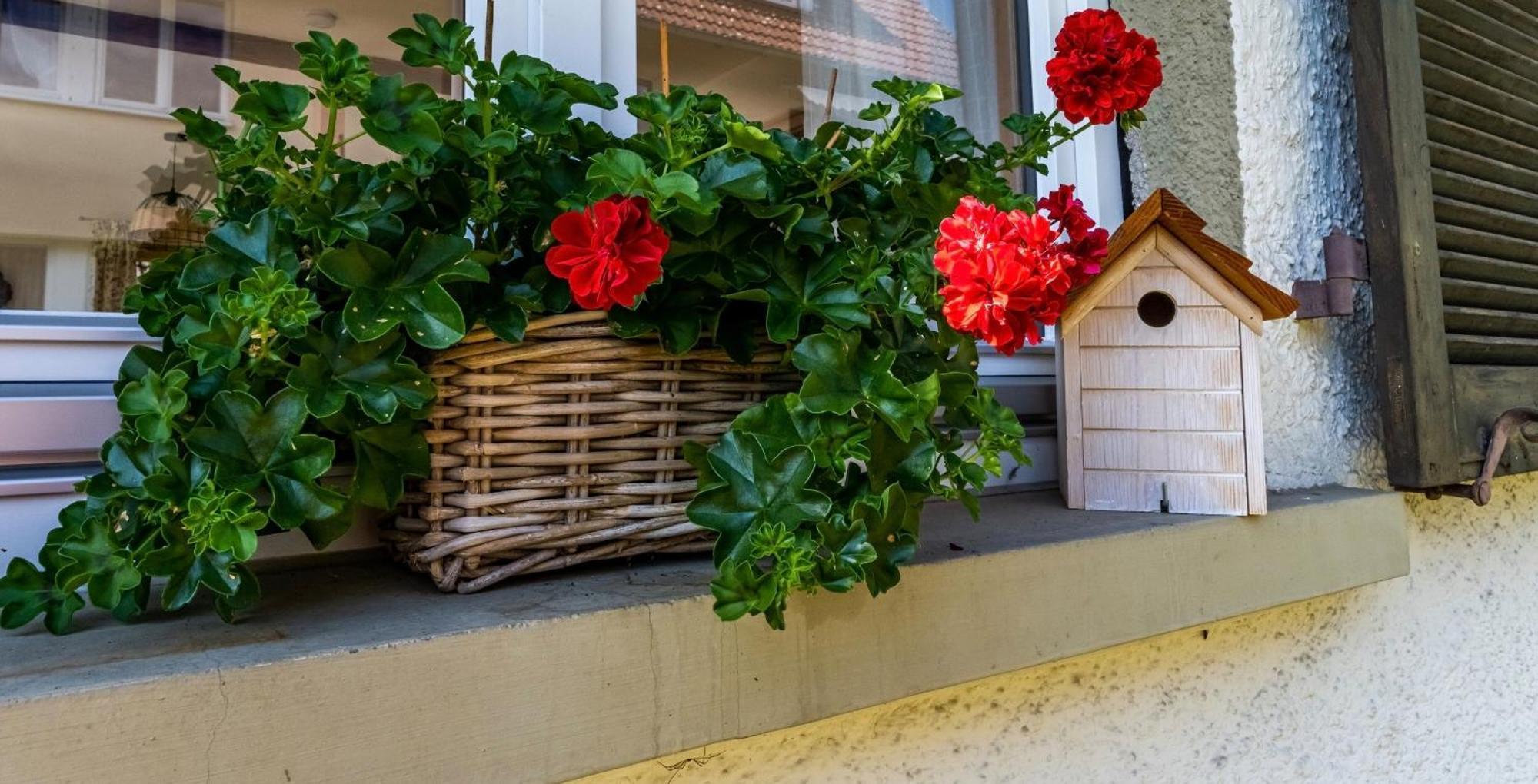 Gartenferienhaus "Annaluise" Schönau im Schwarzwald Екстериор снимка